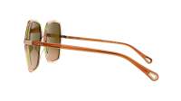 Chloé CH0262S 004 58-16 Havana Orange