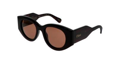 Chloé CH0251S 002 51-21 Havana