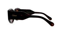 Chloé CH0251S 002 51-21 Havana