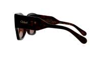 Chloé CH0252S 002 55-19 Havana