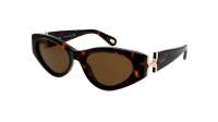 Chloé CH0259S 002 52-19 Havana