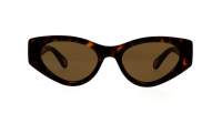 Chloé CH0259S 002 52-19 Havana