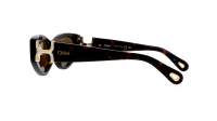 Chloé CH0259S 002 52-19 Havana