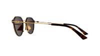 Bottega Veneta BV1331S 002 50-20 Havana Gold