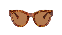 Miu Miu Glimpse MU 01YS 4BW2Z1 51-22 Havana