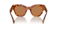 Miu Miu Glimpse MU 01YS 4BW2Z1 51-22 Havana