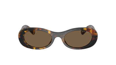 Miu Miu Glimpse MU 06ZS VAU06B 50-20 Havana