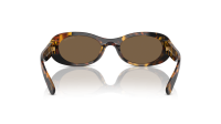 Miu Miu Glimpse MU 06ZS VAU06B 50-20 Havana