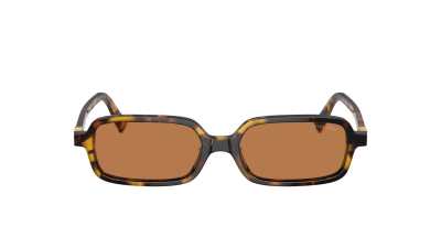 Miu Miu Regard MU 11ZS VAU2Z1 51-16 Havana