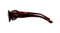 Balenciaga Everyday BB0365S 003 57-17 Havana