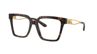 Dolce & Gabbana DG3376B 502 51-18 Havana