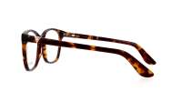 Guess GU2949-N/V 052 56-15 Havana Brown