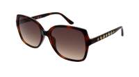 Guess GU00100/S 52F 55-17 Havana Brown