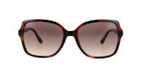 Guess GU00100/S 52F 55-17 Havana Brown
