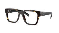 Prada PR 08ZV 16R-101 52-18 Tortoise Black Malt