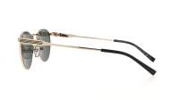 Gucci GG1875S 001 48-21 Oro