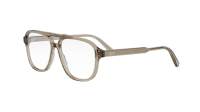 DIOR Botanica DIORBOTANICAO A1I 7800 58-14 Marrone
