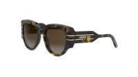 DIOR Signature DIORSIGNATURE R2I 20F1 53-20 Tortoise