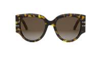 DIOR Signature DIORSIGNATURE R2I 20F1 53-20 Tortoise