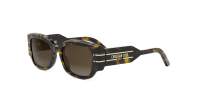DIOR Signature DIORSIGNATURE S13I 20F1 52-19 Tartaruga