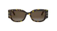 DIOR Signature DIORSIGNATURE S13I 20F1 52-19 Tartaruga