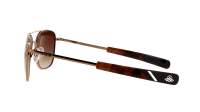 Randolph Aviator AF486 55-20 22K chocolate Gold