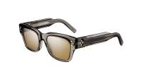 DIOR CD DIAMOND S2I 45F5 54-19 Grey