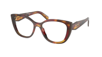 Prada PR B04V 22A-1O1 53-17 Poppy tortoise/Bordeaux