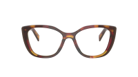 Prada PR B04V 22A-1O1 53-17 Poppy tortoise/Bordeaux