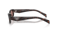 Prada PR B06S 17N-60B 53-19 Root tortoise