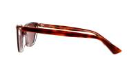Gucci Emblem GG1815S 004 58-15 Tartaruga