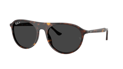 Sunglasses Ray-Ban RB2215 902/48 59-20 Havana in stock