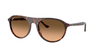 Ray-Ban RB2215 1429/3B 56-20 Havana Red Turtle