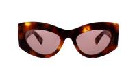 Gucci Emblem GG1843S 003 53-20 Tartaruga