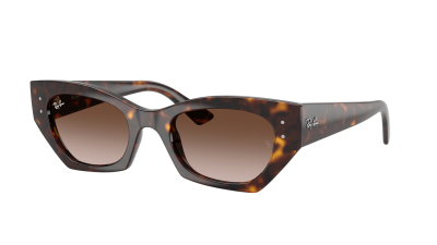 Sunglasses Ray-Ban Zena Pulse bio-based RB4430 1359/13 49-22 Havana in stock