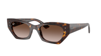 Ray-Ban Zena Pulse Bio-Based RB4430 1359/13 49-22 Havana