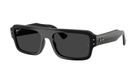Ray-Ban Lukas RB4454 6677/48 56-20 Black
