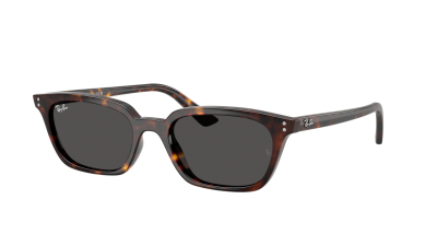 Lunettes de soleil Ray-Ban Zaya RB4456 1359/87 53-19 Havana en stock