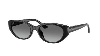 Lunettes de soleil Ray-Ban RB4457D 6677/11 55-19 Noir en stock