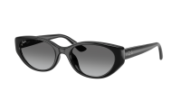 Ray-Ban RB4457D 6677/11 55-19 Schwarz
