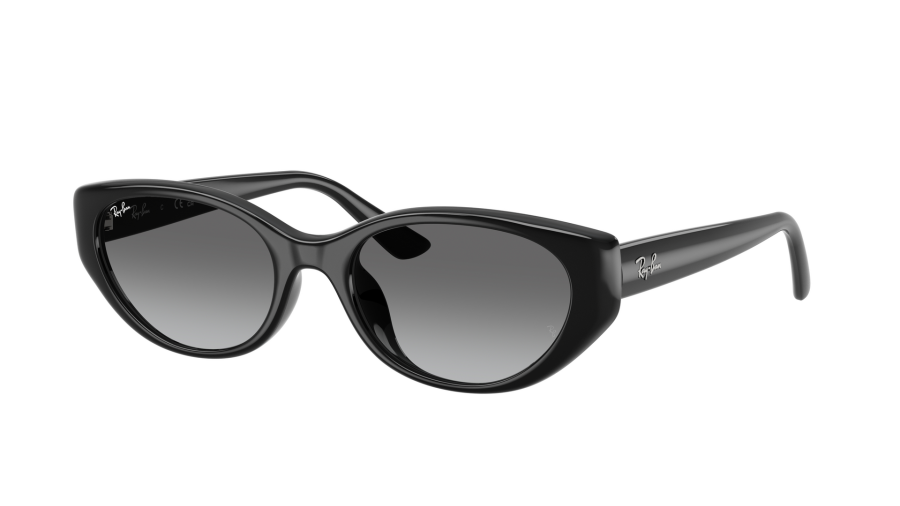 Ray-Ban RB4457D 6677/11 55-19 Schwarz