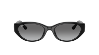 Ray-Ban RB4457D 6677/11 55-19 Schwarz