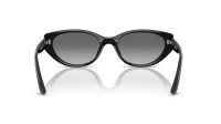 Ray-Ban RB4457D 6677/11 55-19 Nero