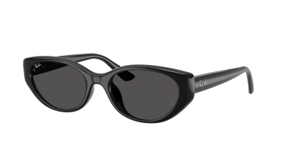 Sunglasses Ray-Ban RB4457D 6677/87 55-19 Black in stock