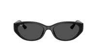 Ray-Ban RB4457D 6677/87 55-19 Schwarz