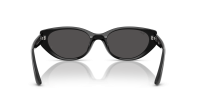 Ray-Ban RB4457D 6677/87 55-19 Schwarz
