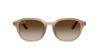 Ray-Ban RB4459D 6166/13 54-19 Turtledove