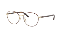 Ray-Ban RX6538D RB6538D 3193 53-18 Havana on Pale Gold