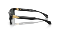 Versace VE4490U GB1/87 55-18 Black