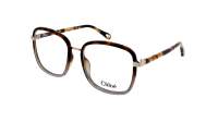 Chloé CH0034O 020 53-18 Havana